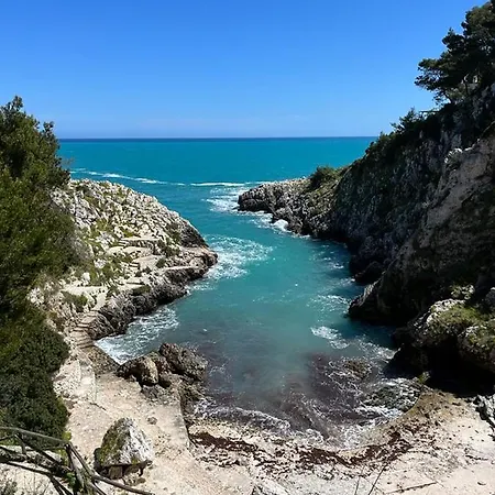 Designer アパート レッチェ